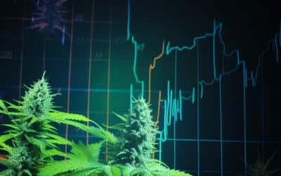 La bolsa de la hierba de un vistazo | Ticker en directo de los grandes actores y resumen del mercado