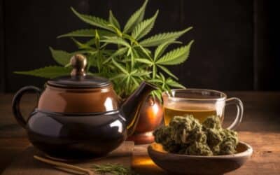 Té de cannabis | Efecto y receta – Una bebida relajante con muchas facetas